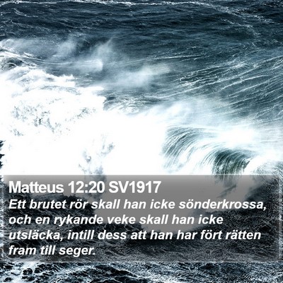 Matteus 12:20 SV1917 Bible Verse Image