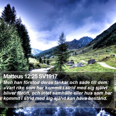 Matteus 12:25 SV1917 Bible Verse Image