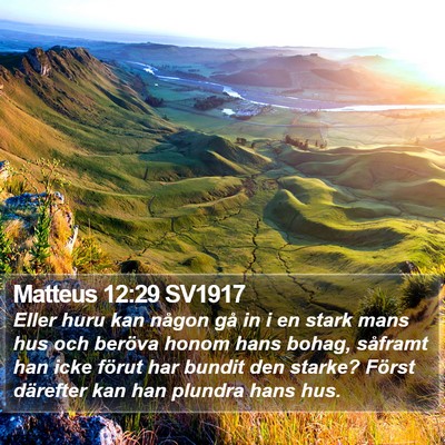 Matteus 12:29 SV1917 Bible Verse Image