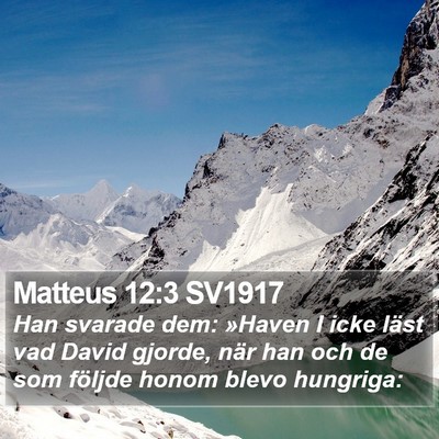 Matteus 12:3 SV1917 Bible Verse Image