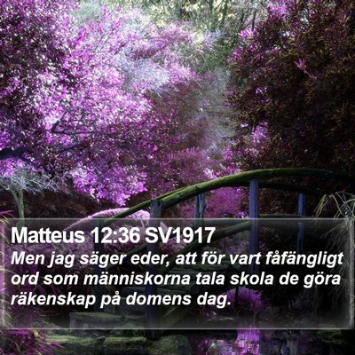 Matteus 12:36 SV1917 Bible Verse Image