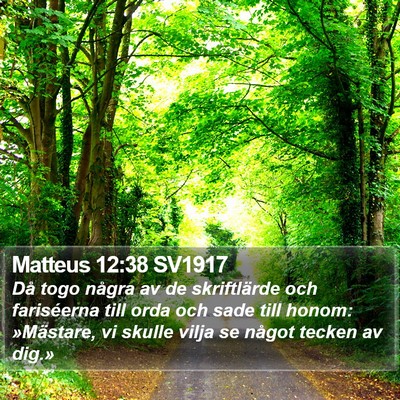 Matteus 12:38 SV1917 Bible Verse Image