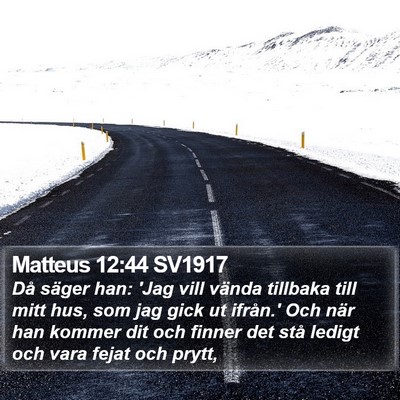 Matteus 12:44 SV1917 Bible Verse Image