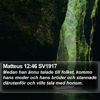Matteus 12:46 SV1917 Bible Verse Image