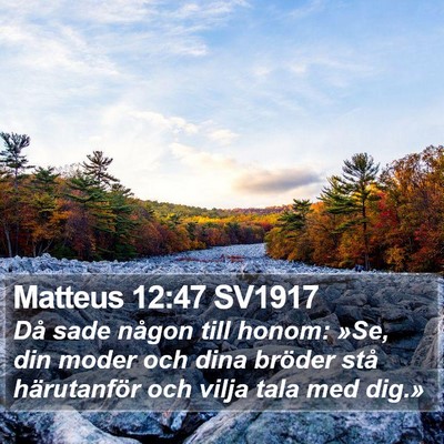 Matteus 12:47 SV1917 Bible Verse Image