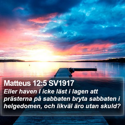 Matteus 12:5 SV1917 Bible Verse Image