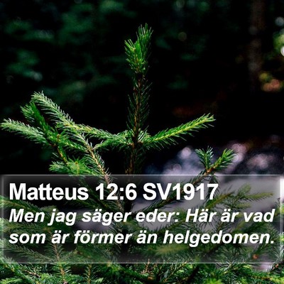 Matteus 12:6 SV1917 Bible Verse Image