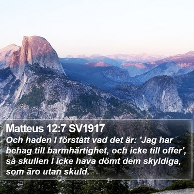 Matteus 12:7 SV1917 Bible Verse Image