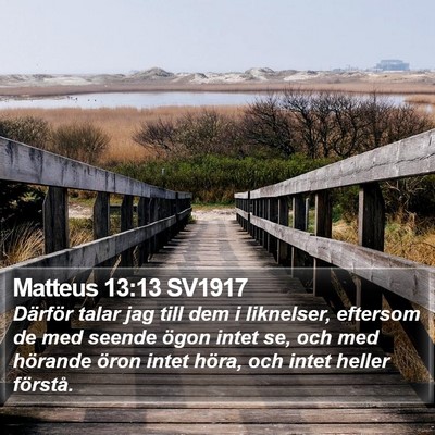 Matteus 13:13 SV1917 Bible Verse Image