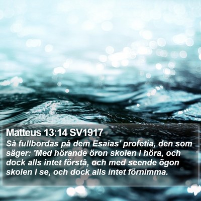 Matteus 13:14 SV1917 Bible Verse Image