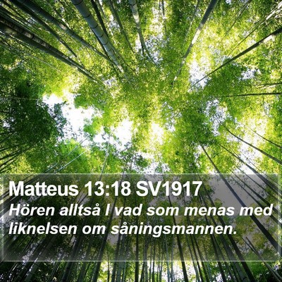 Matteus 13:18 SV1917 Bible Verse Image