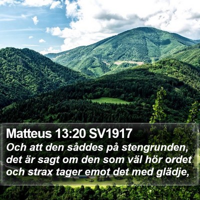 Matteus 13:20 SV1917 Bible Verse Image