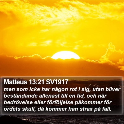 Matteus 13:21 SV1917 Bible Verse Image