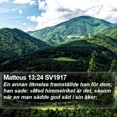 Matteus 13:24 SV1917 Bible Verse Image
