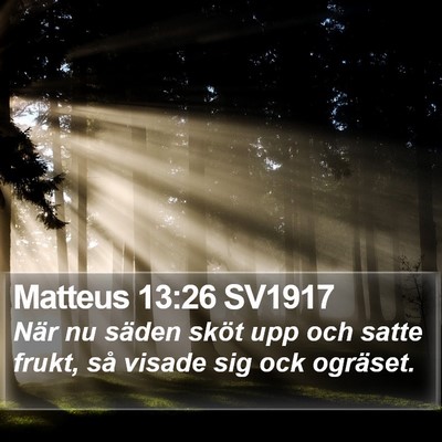 Matteus 13:26 SV1917 Bible Verse Image