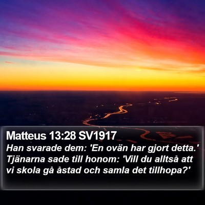 Matteus 13:28 SV1917 Bible Verse Image