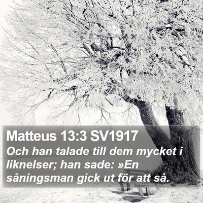 Matteus 13:3 SV1917 Bible Verse Image