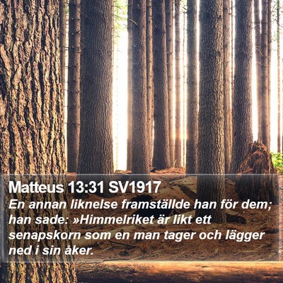 Matteus 13:31 SV1917 Bible Verse Image