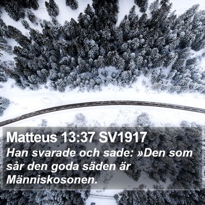 Matteus 13:37 SV1917 Bible Verse Image