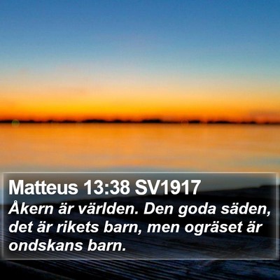Matteus 13:38 SV1917 Bible Verse Image
