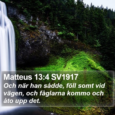 Matteus 13:4 SV1917 Bible Verse Image