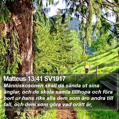Matteus 13:41 SV1917 Bible Verse Image