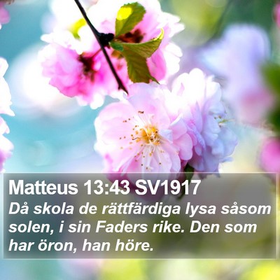 Matteus 13:43 SV1917 Bible Verse Image