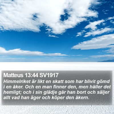 Matteus 13:44 SV1917 Bible Verse Image