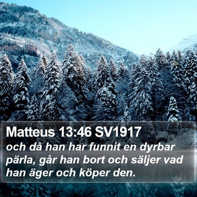 Matteus 13:46 SV1917 Bible Verse Image