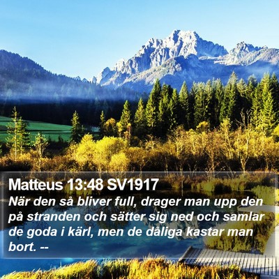 Matteus 13:48 SV1917 Bible Verse Image