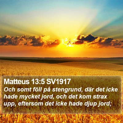 Matteus 13:5 SV1917 Bible Verse Image