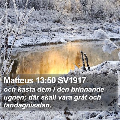 Matteus 13:50 SV1917 Bible Verse Image