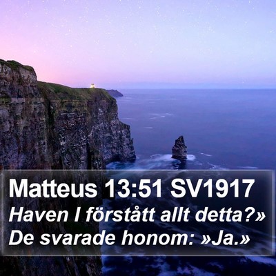 Matteus 13:51 SV1917 Bible Verse Image
