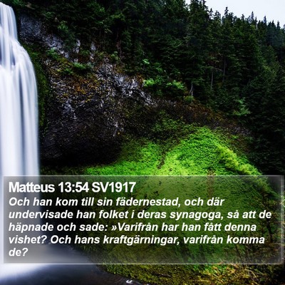 Matteus 13:54 SV1917 Bible Verse Image