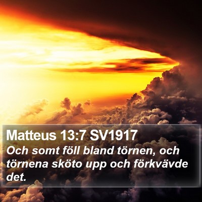Matteus 13:7 SV1917 Bible Verse Image