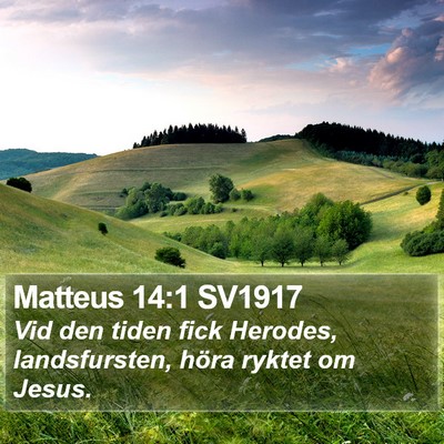 Matteus 14:1 SV1917 Bible Verse Image