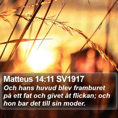 Matteus 14:11 SV1917 Bible Verse Image