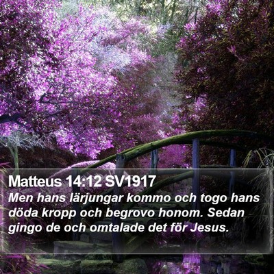 Matteus 14:12 SV1917 Bible Verse Image