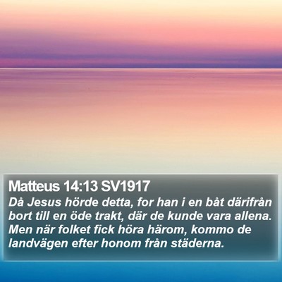 Matteus 14:13 SV1917 Bible Verse Image