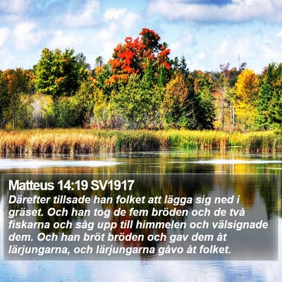 Matteus 14:19 SV1917 Bible Verse Image