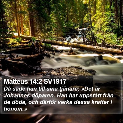 Matteus 14:2 SV1917 Bible Verse Image