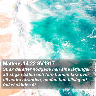 Matteus 14:22 SV1917 Bible Verse Image