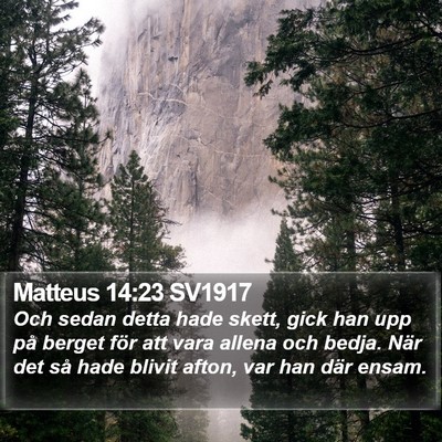 Matteus 14:23 SV1917 Bible Verse Image