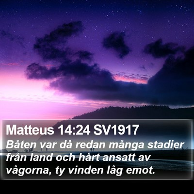 Matteus 14:24 SV1917 Bible Verse Image