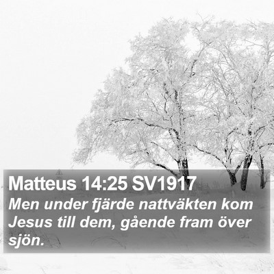 Matteus 14:25 SV1917 Bible Verse Image