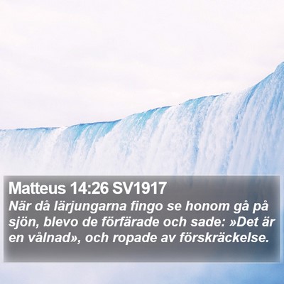 Matteus 14:26 SV1917 Bible Verse Image
