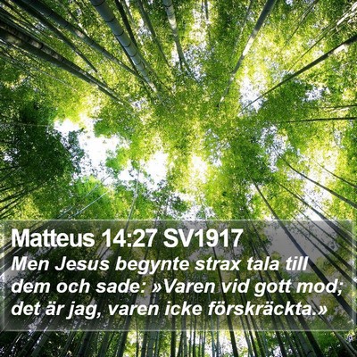 Matteus 14:27 SV1917 Bible Verse Image