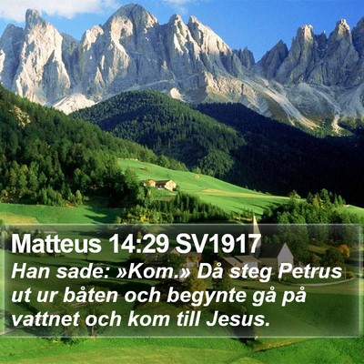 Matteus 14:29 SV1917 Bible Verse Image