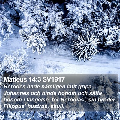 Matteus 14:3 SV1917 Bible Verse Image
