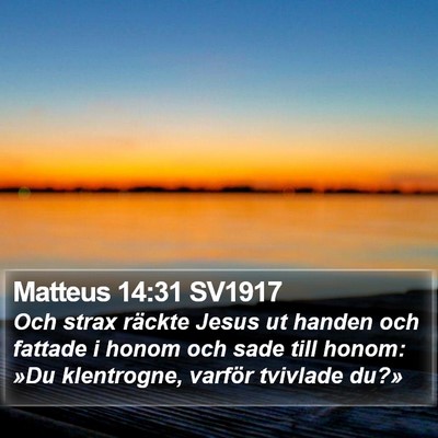 Matteus 14:31 SV1917 Bible Verse Image